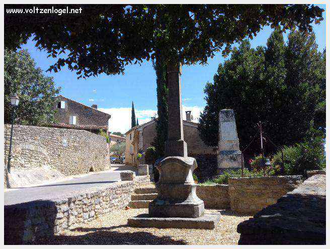 Faucon au Pays Ventoux