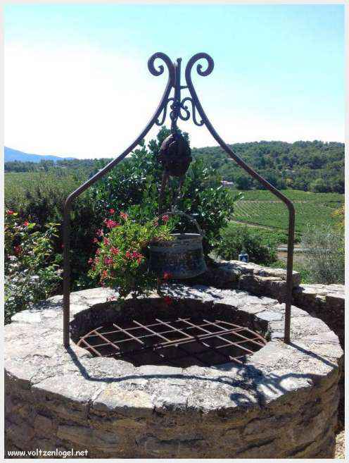 Faucon au Pays Ventoux