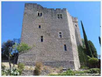 Mollans-Sur-Ouvèze. Le château et bourg médiéval fortifié de Mollans
