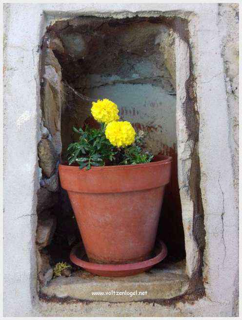 Saint-Romain-En-Viennois