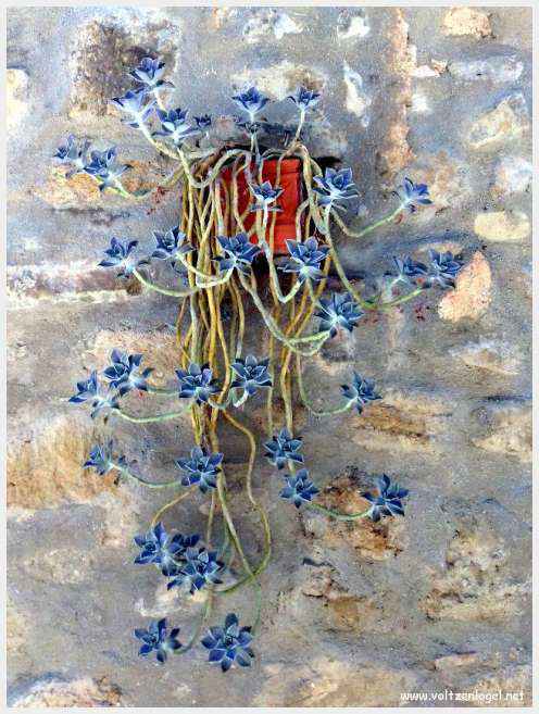 Saint-Romain-En-Viennois