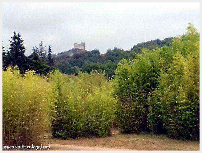 Vue panoramique du Jardin des 9 Damoiselles à Vaison-la-Romaine.