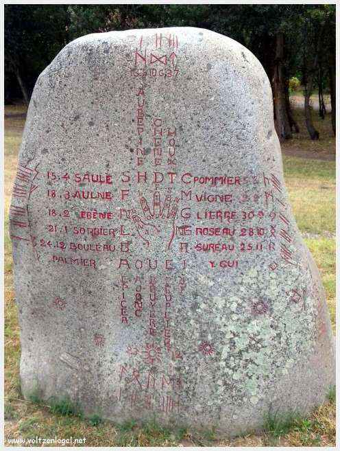 Vue panoramique de Vaison La Romaine avec ruines antiques et jardins paisibles
