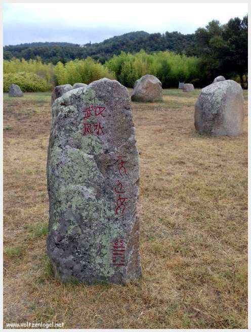 Vue panoramique de Vaison La Romaine avec ruines antiques et jardins paisibles