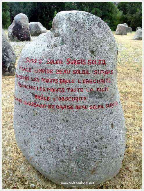 Vue panoramique de Vaison La Romaine avec ruines antiques et jardins paisibles