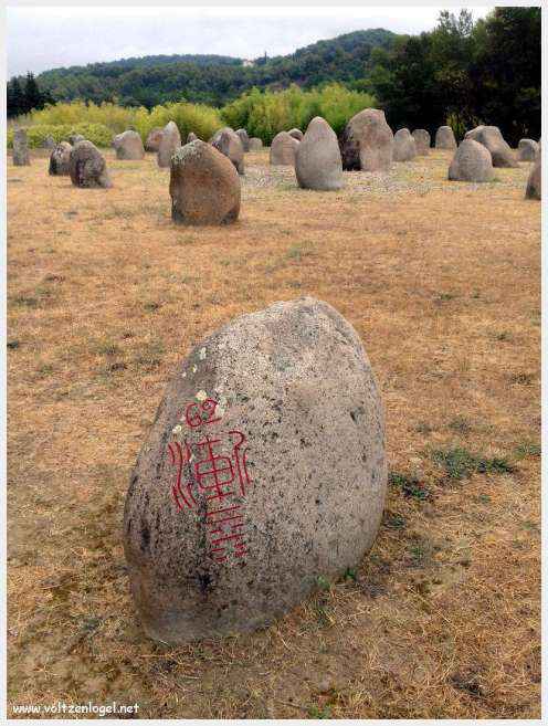 Vue panoramique de Vaison La Romaine avec ruines antiques et jardins paisibles