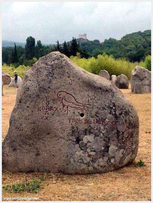 Vue panoramique de Vaison La Romaine avec ruines antiques et jardins paisibles