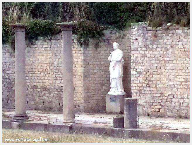 Ruines gallo-romaines de Vaison La Romaine, témoignage vivant de l'Antiquité.
