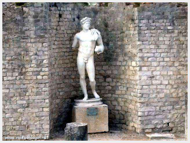 Ruines gallo-romaines de Vaison La Romaine, témoignage vivant de l'Antiquité.