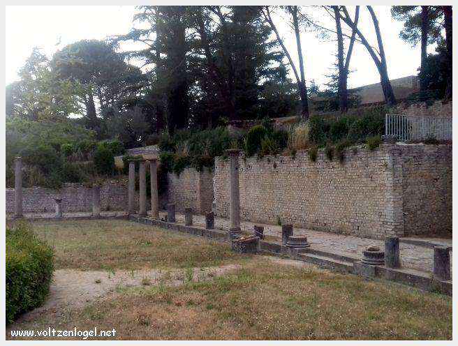 Ruines gallo-romaines de Vaison La Romaine, témoignage vivant de l'Antiquité.