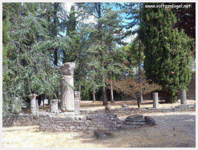 Ruines gallo-romaines de Vaison La Romaine, témoignage vivant de l'Antiquité.