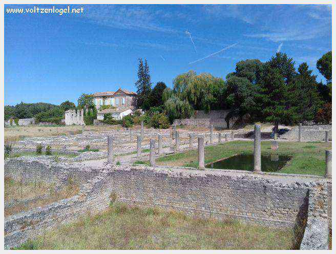 Ruines gallo-romaines de Vaison La Romaine, témoignage vivant de l'Antiquité.
