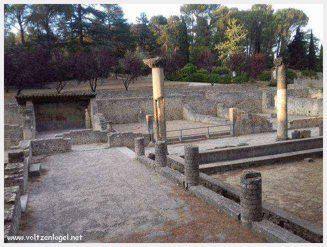 Ruines gallo-romaines de Vaison La Romaine, témoignage vivant de l'Antiquité.