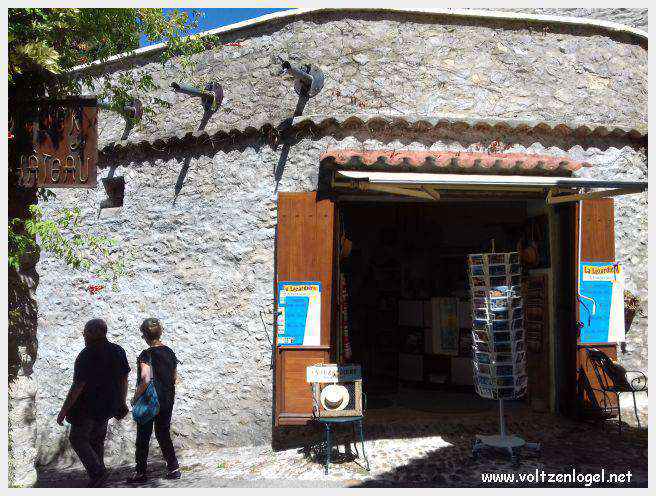 Vue panoramique de la Haute-Ville médiévale de Vaison La Romaine en Provence