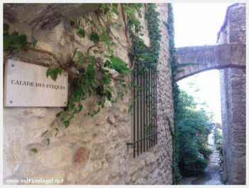 Silhouette majestueuse : Explorez l'emblématique Château Comtal de Vaison-la-Romaine