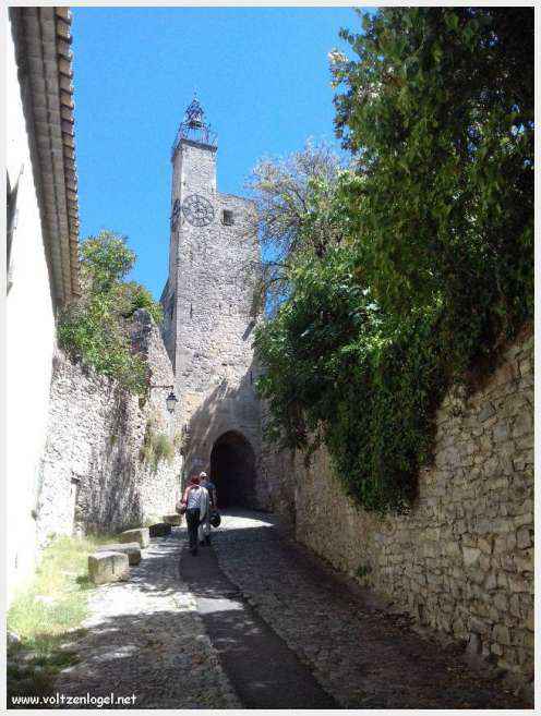 Vue panoramique de Vaison La Romaine, alliant histoire médiévale et nature provençale