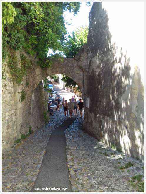 Vue panoramique de Vaison La Romaine, alliant histoire médiévale et nature provençale