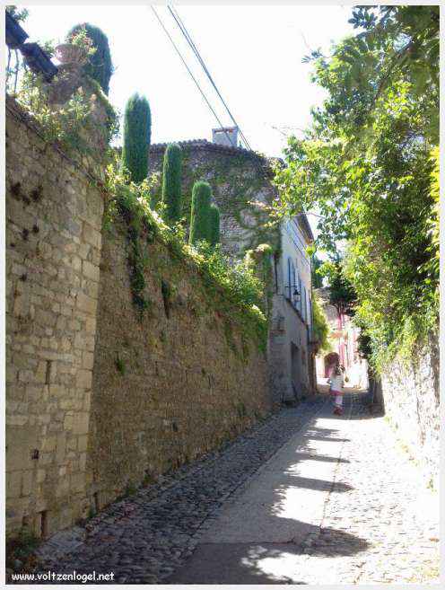 Vue panoramique de Vaison La Romaine, alliant histoire médiévale et nature provençale