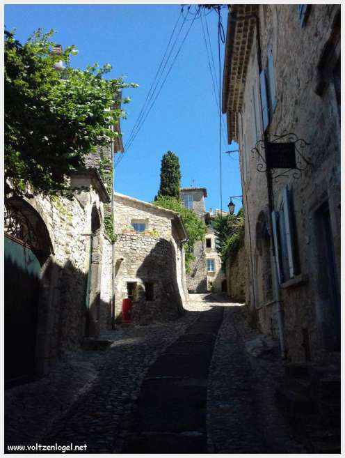 Vue panoramique de Vaison La Romaine, alliant histoire médiévale et nature provençale