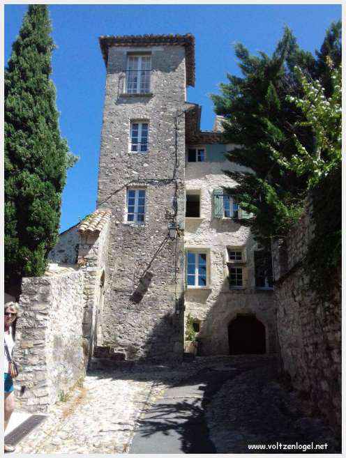 Vue panoramique de Vaison La Romaine, alliant histoire médiévale et nature provençale