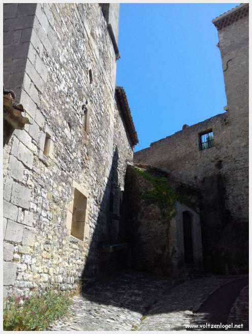 Vue panoramique de Vaison La Romaine, alliant histoire médiévale et nature provençale