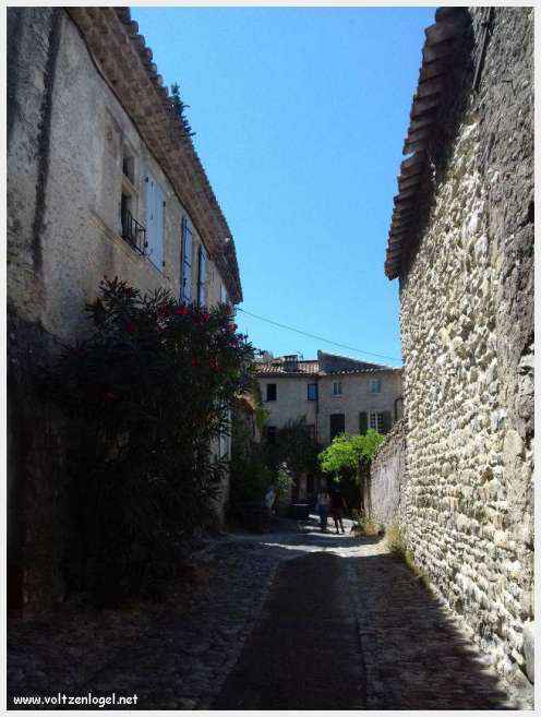Vue panoramique de Vaison La Romaine, alliant histoire médiévale et nature provençale