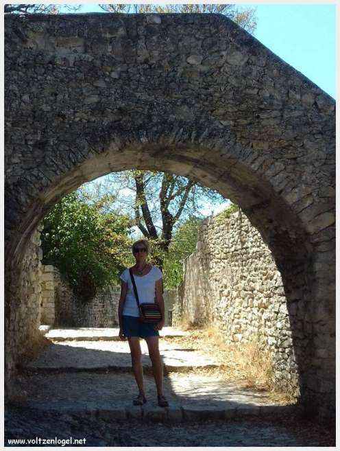 Vue panoramique de Vaison La Romaine, alliant histoire médiévale et nature provençale