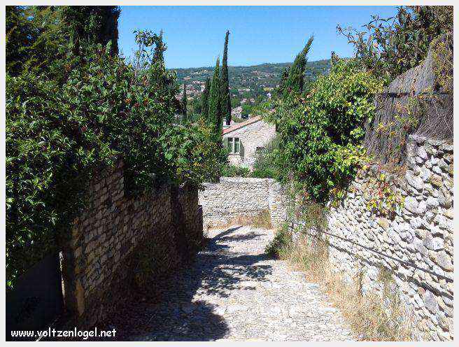 Vue panoramique de Vaison La Romaine, alliant histoire médiévale et nature provençale