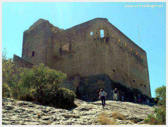 Vue panoramique de Vaison La Romaine, alliant histoire médiévale et nature provençale