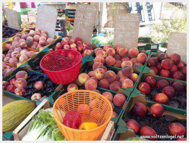 Canoë dans les Gorges de l'Ardèche à Vallon Pont d'Arc