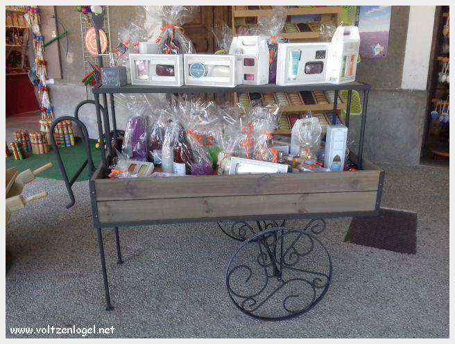 Canoë dans les Gorges de l'Ardèche à Vallon Pont d'Arc