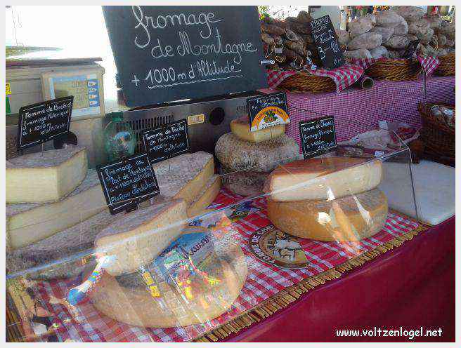Canoë dans les Gorges de l'Ardèche à Vallon Pont d'Arc
