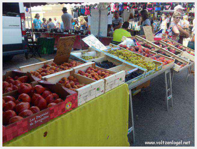 Canoë dans les Gorges de l'Ardèche à Vallon Pont d'Arc