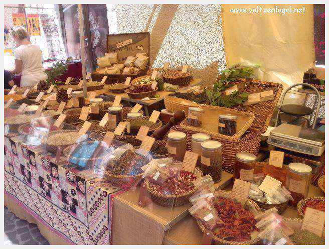 Canoë dans les Gorges de l'Ardèche à Vallon Pont d'Arc