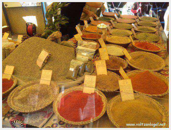Canoë dans les Gorges de l'Ardèche à Vallon Pont d'Arc