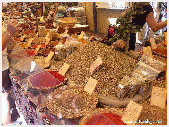 Canoë dans les Gorges de l'Ardèche à Vallon Pont d'Arc