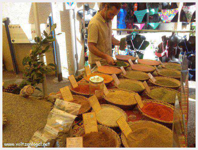 Canoë dans les Gorges de l'Ardèche à Vallon Pont d'Arc