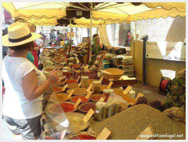 Canoë dans les Gorges de l'Ardèche à Vallon Pont d'Arc