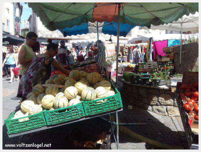 Canoë dans les Gorges de l'Ardèche à Vallon Pont d'Arc