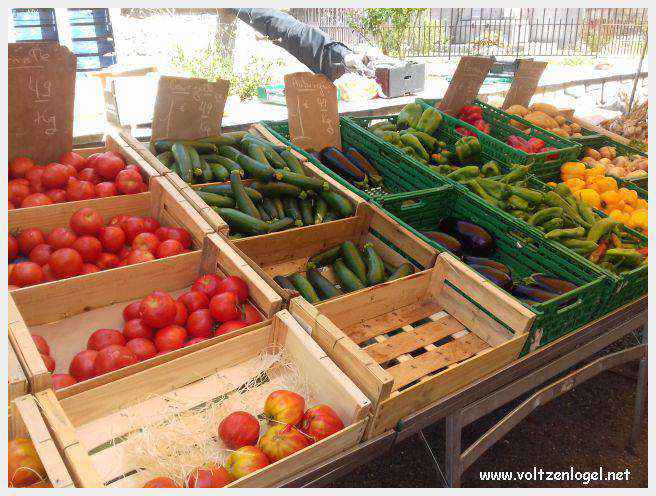 Canoë dans les Gorges de l'Ardèche à Vallon Pont d'Arc
