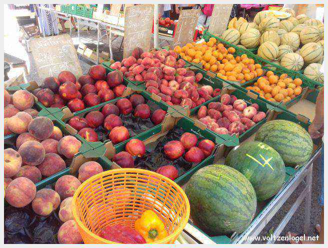 Canoë dans les Gorges de l'Ardèche à Vallon Pont d'Arc