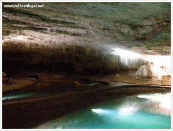 Observation de la faune dans la Grotte de Choranche