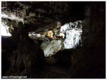 Intérieur éclairé de la grotte avec stalactites