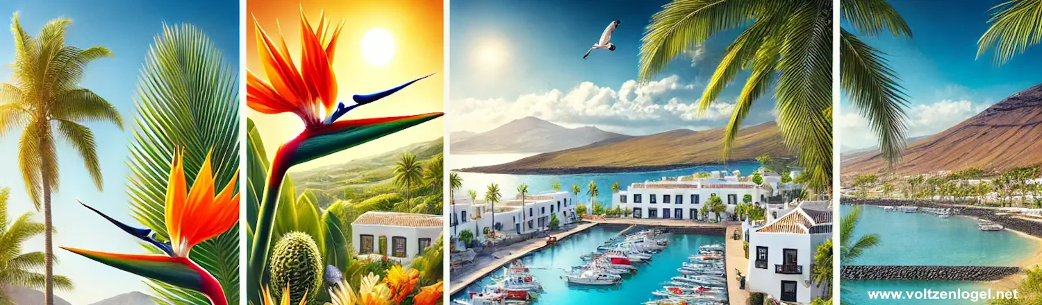 vacances et tourisme à Grande Canarie en Espagne