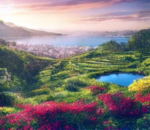 Paysages de Grande Canarie avec pins et montagnes