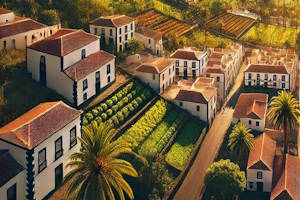 Dégustation culinaire à San Bartolomé