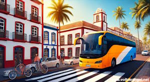 Excursion en bus à Tenerife