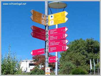 Découvrez Friedrichshafen : diversité et passions