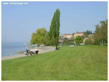 Cyclisme paradisiaque : sentiers au Lac de Constance