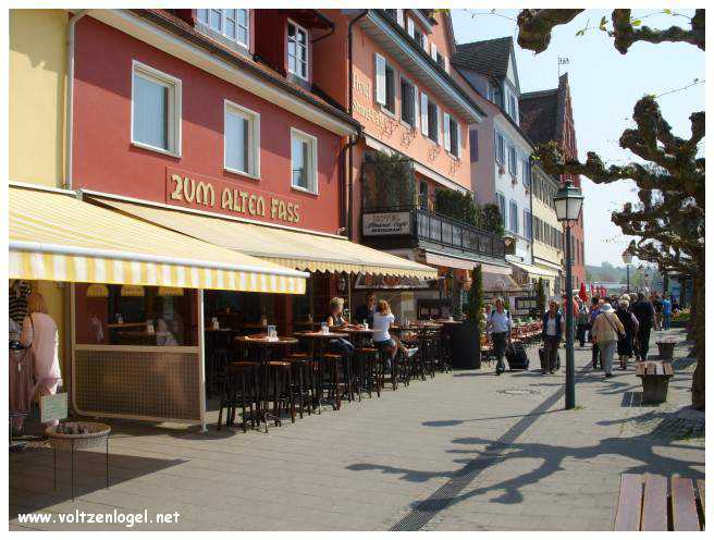 Vignobles verdoyants entre Hagnau et Meersburg.